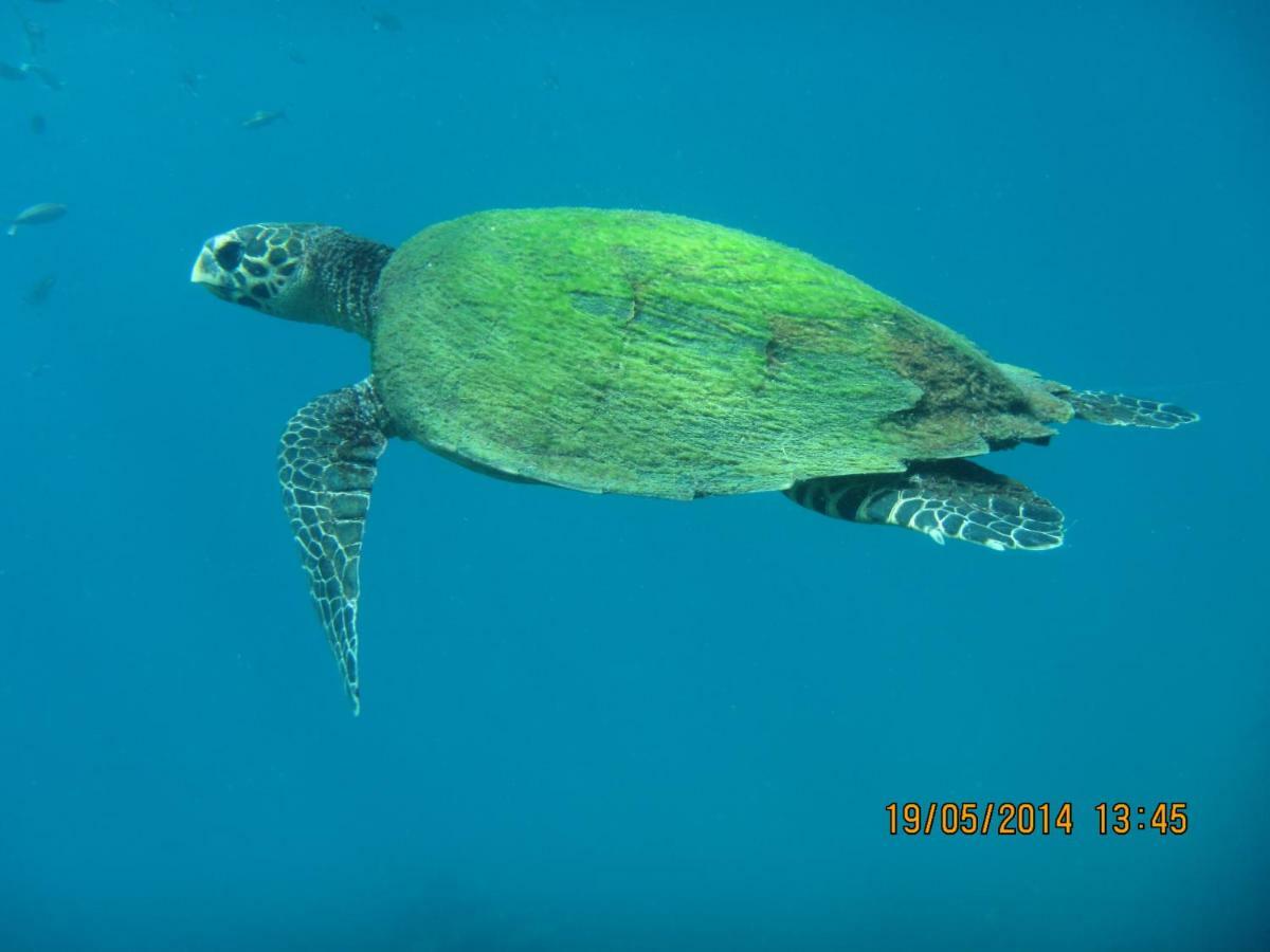 Breeze Guest House Trincomalee Buitenkant foto